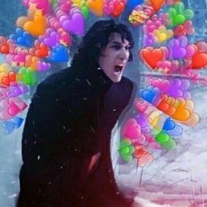 Succulent bundle of 15